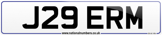 J29 ERM