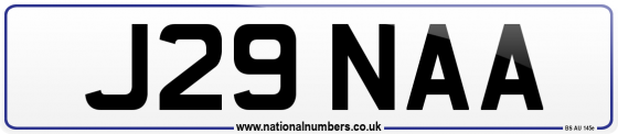 J29 NAA