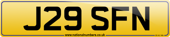 J29 SFN