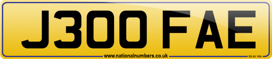 J300 FAE