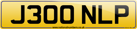 J300 NLP