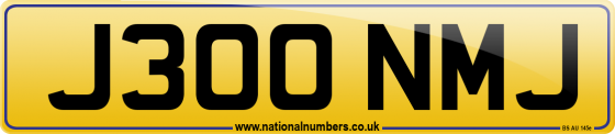 J300 NMJ