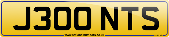 J300 NTS