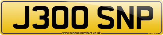J300 SNP