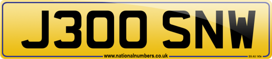 J300 SNW