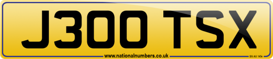 J300 TSX