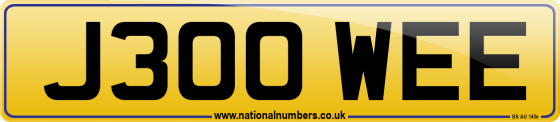 J300 WEE