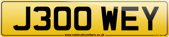 J300 WEY