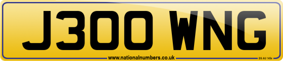 J300 WNG