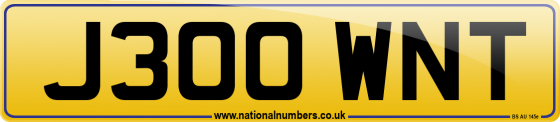 J300 WNT