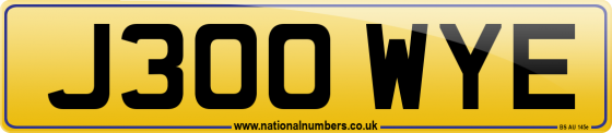 J300 WYE