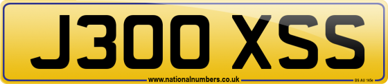 J300 XSS