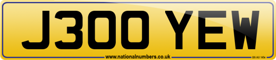 J300 YEW