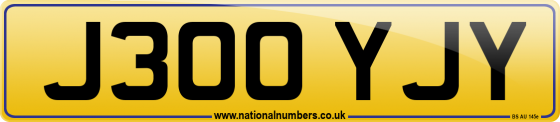 J300 YJY