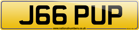J66 PUP