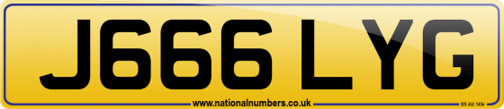 J666 LYG