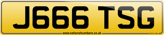 J666 TSG