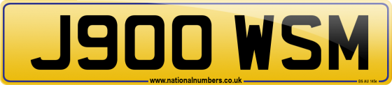 J900 WSM