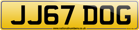 JJ67 DOG