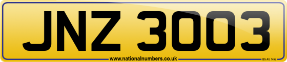 JNZ 3003
