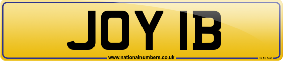 JOY 1B
