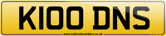 K100 DNS