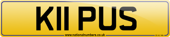 K11 PUS