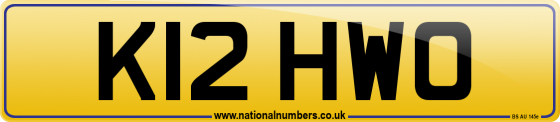 K12 HWO