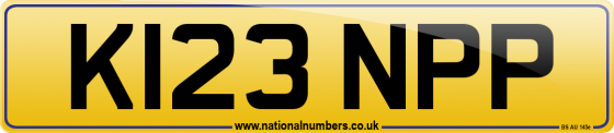 K123 NPP