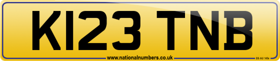 K123 TNB