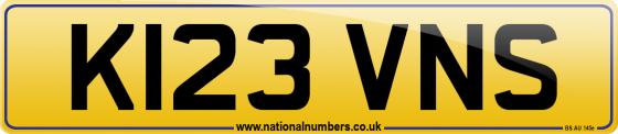 K123 VNS