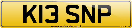 K13 SNP