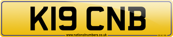 K19 CNB