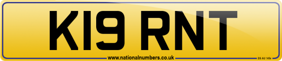 K19 RNT