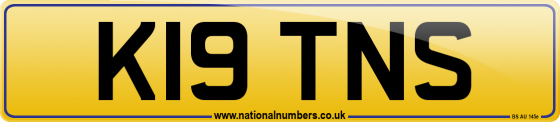 K19 TNS
