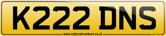 K222 DNS
