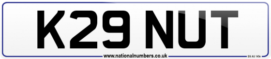 K29 NUT