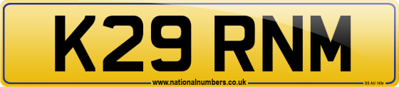 K29 RNM
