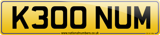K300 NUM