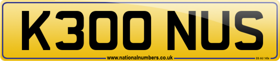 K300 NUS