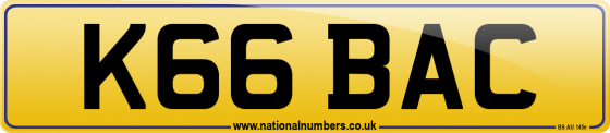 K66 BAC