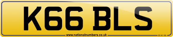 K66 BLS