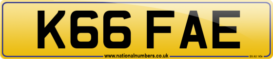 K66 FAE