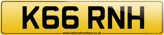 K66 RNH