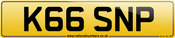 K66 SNP