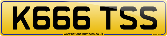 K666 TSS