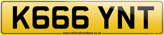 K666 YNT