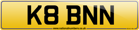 K8 BNN