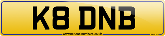 K8 DNB