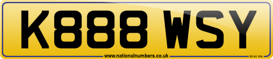 K888 WSY